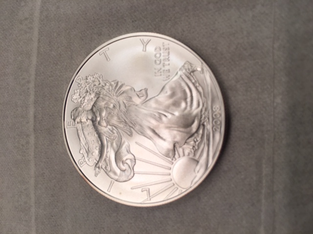 Burnished-Silver-Eagle-2008-Without-Mint-Mark?