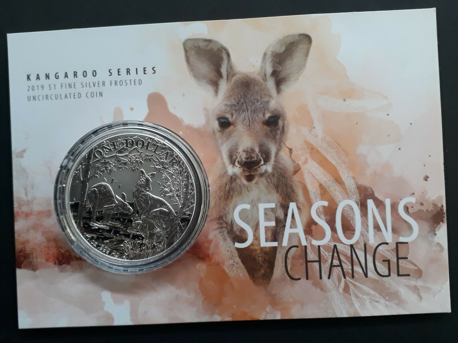 Has-The-Ram-Carded-Kangaroo-Been-Discontinued?