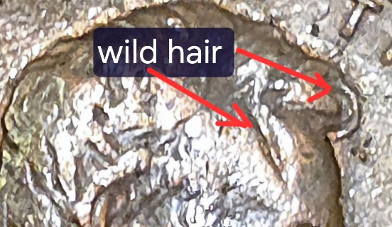 1989-Penny-Exrra-Hair-On-Obverse-Side-D