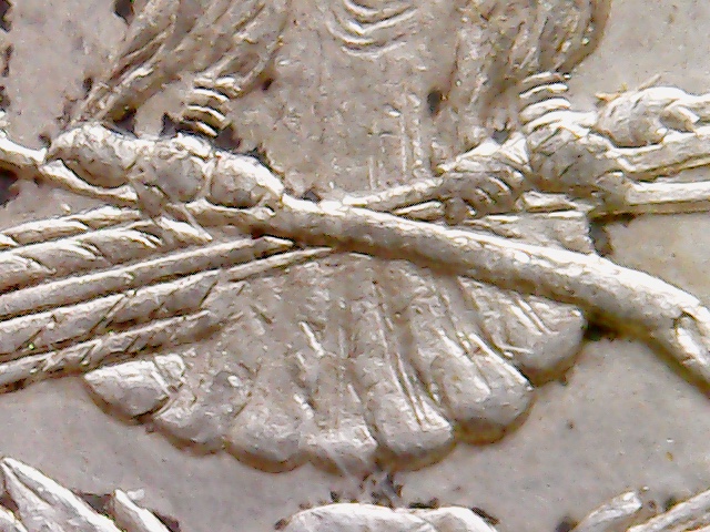 1878-S-Morgan-VAM-111?