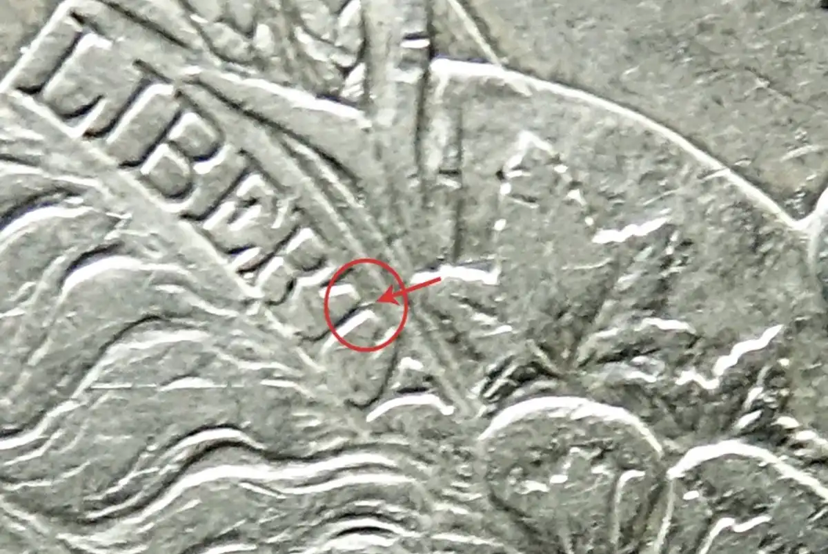 1893-S-Morgan-Silver-Dollar-�>-What's-Your-Grade?