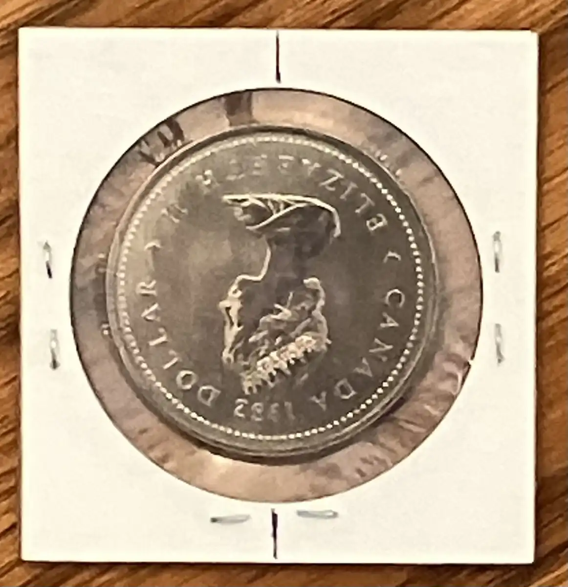 1982-Constitution-Dollar-In-Coin-Alignment:-Did-I-Just-Stumble-Across-A-$6000-Error-Coin?