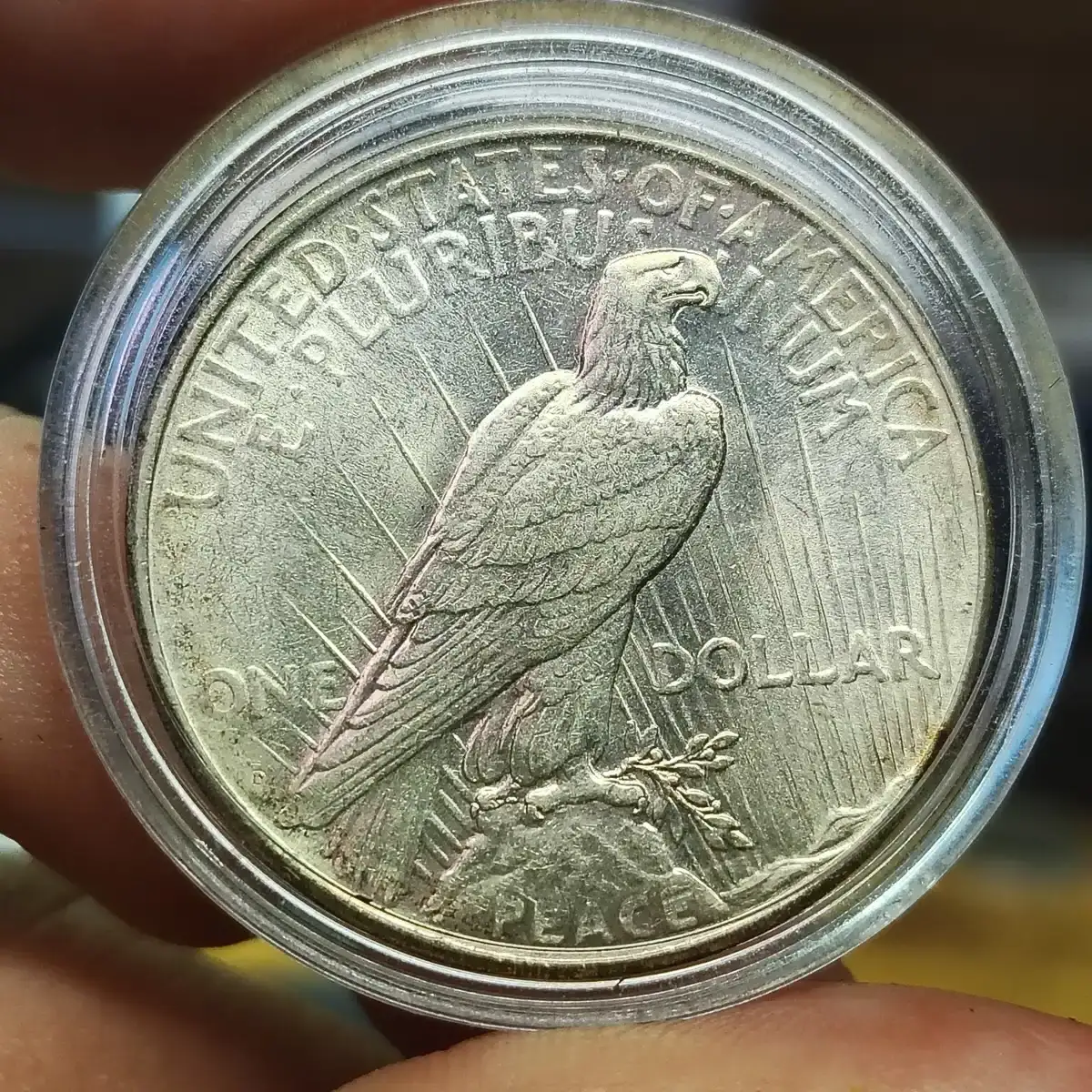 1926-D-Peace-Dollar-Error-Or-Not