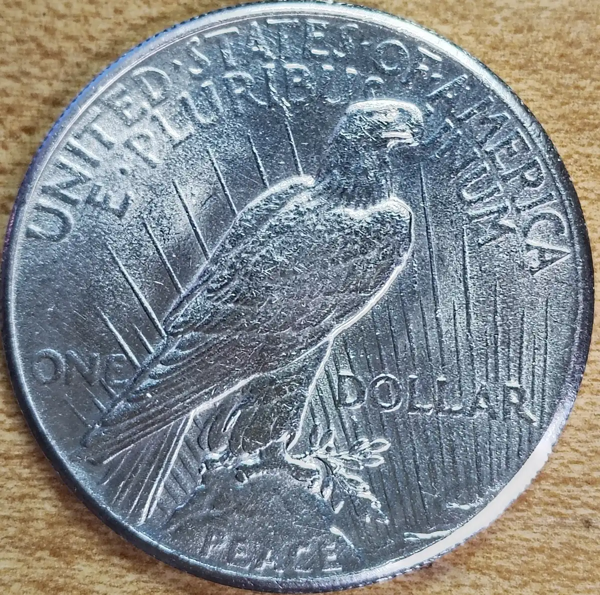 1926-Peace-Dollar-In-Pga-Holder-Looks-Weird