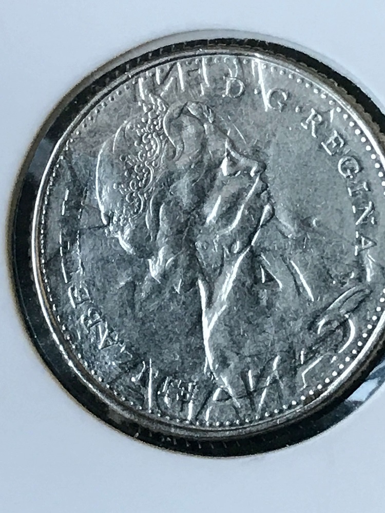 Odd-Dime-Need-Your-Help