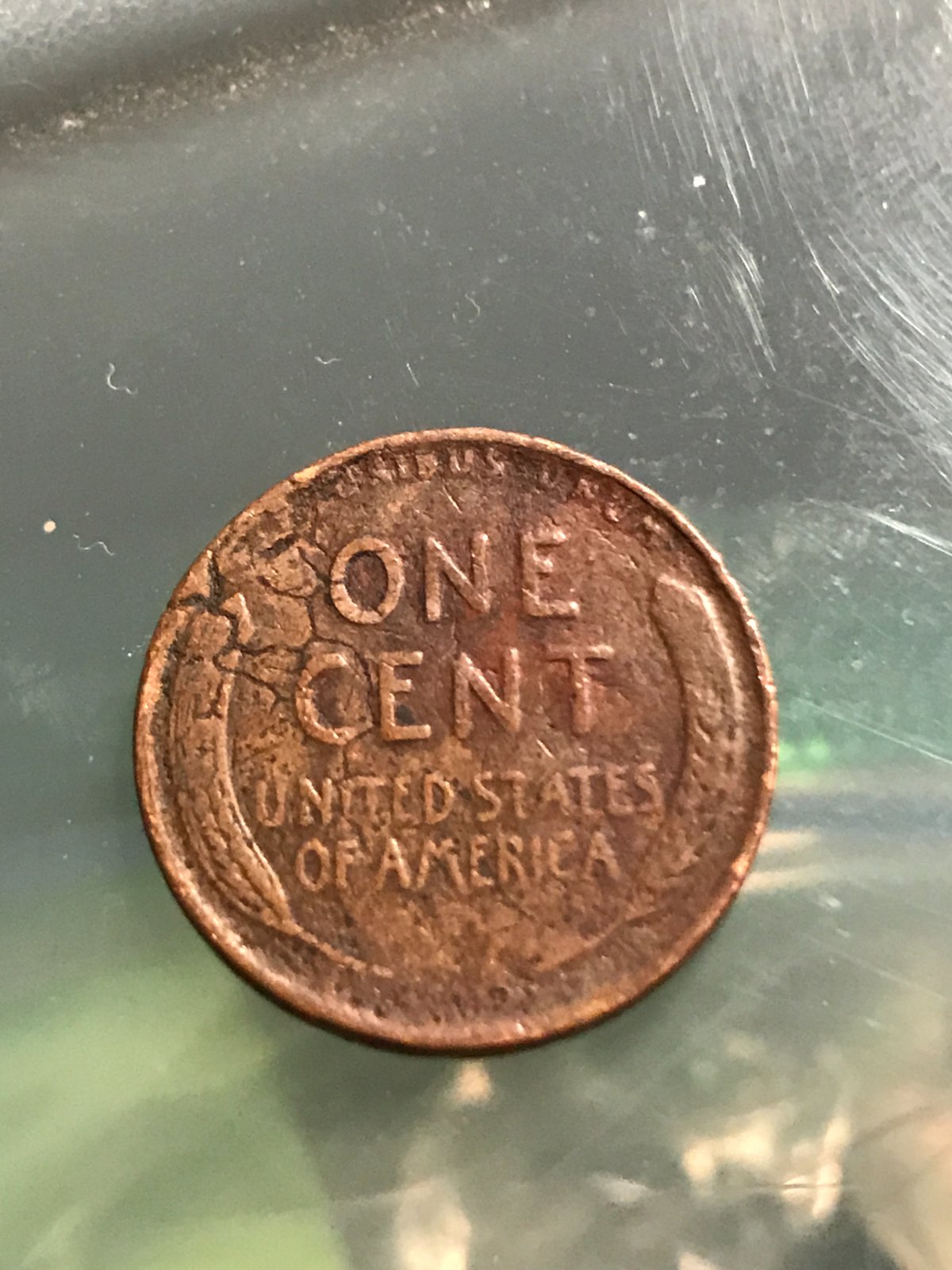 1956-Wheat-Penny-Double-Die--With-BIE-?