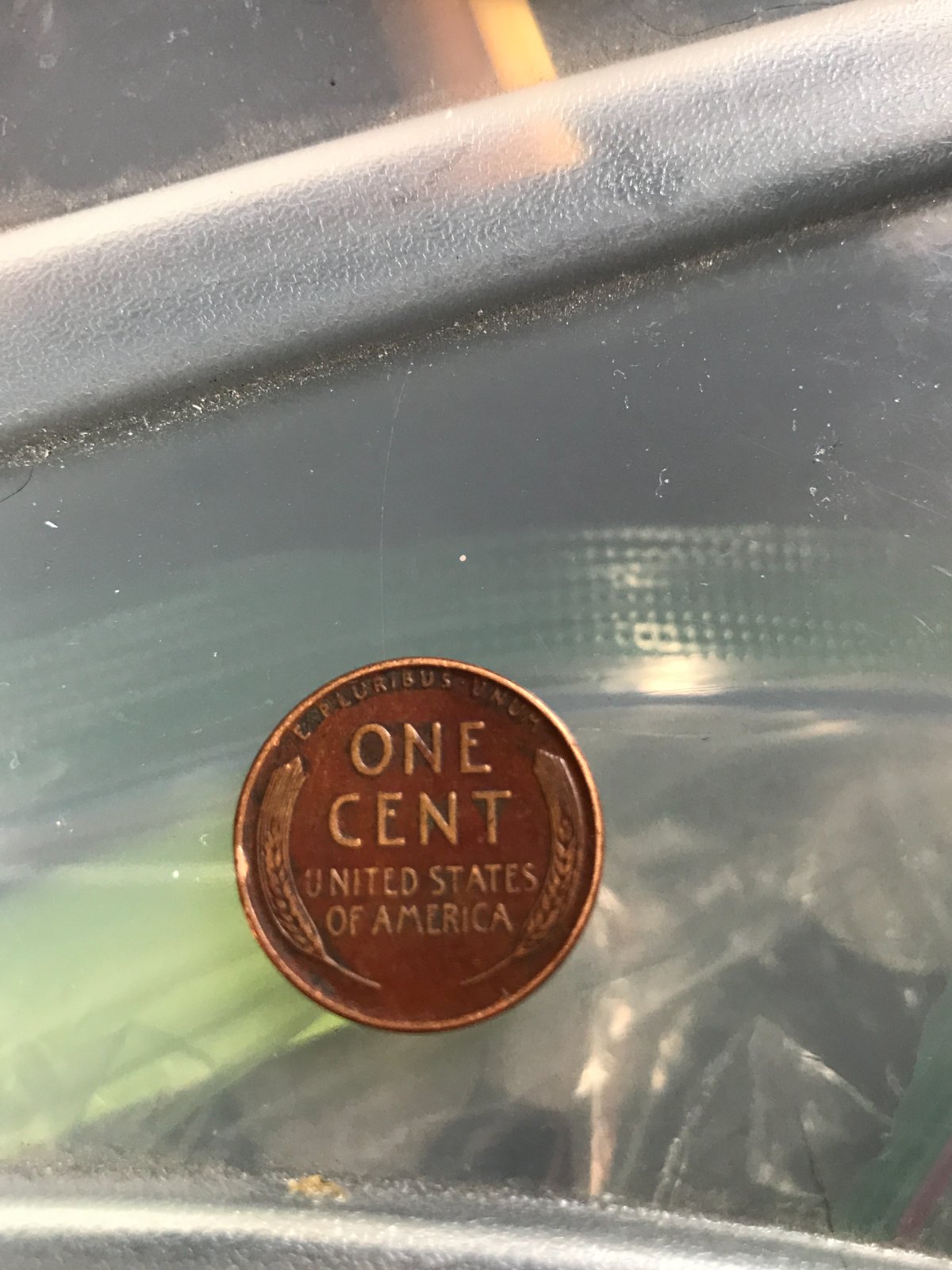 1946-Wheat-Penny-Red-Background-Velvet-Coat-Brown-Red/Brown-Red