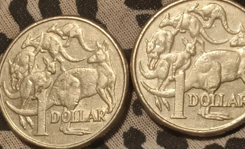 2024-$1-Mob-Of-Roos---Missing-Leg