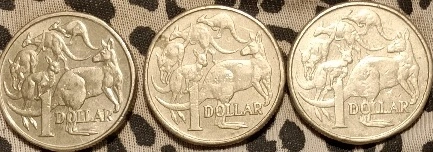 2024-$1-Mob-Of-Roos---Missing-Leg