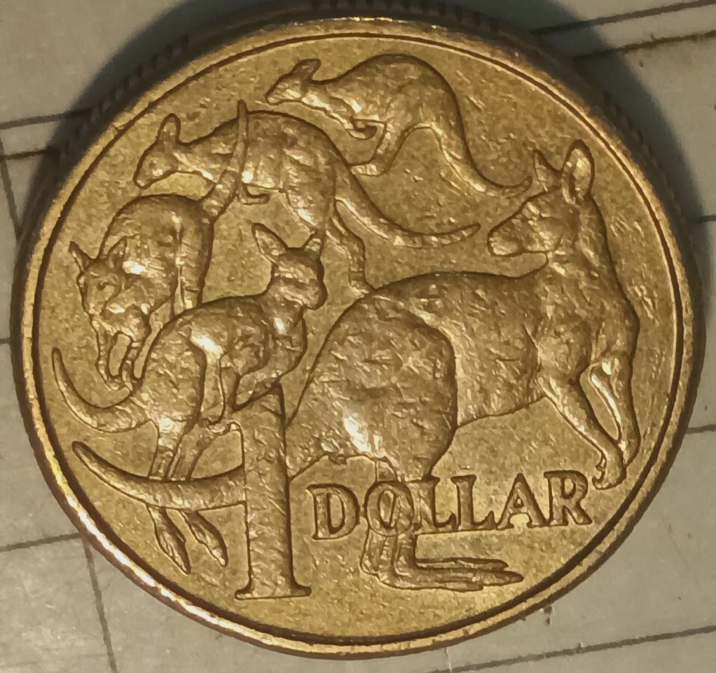 2010-$1-Mob-Of-Roos-Error