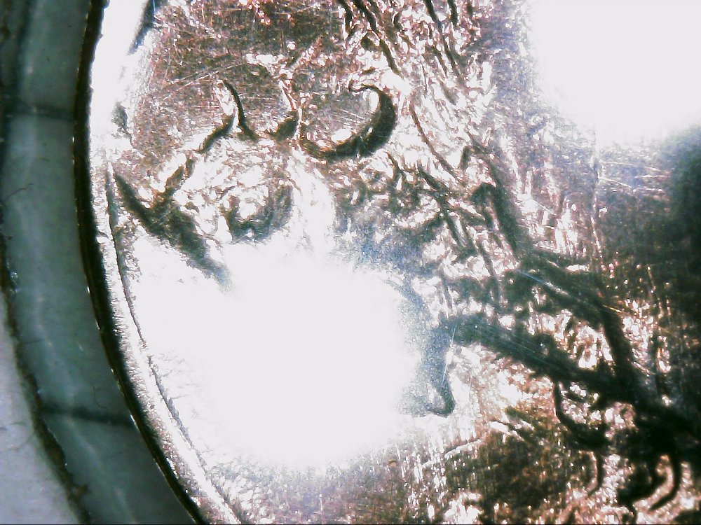 Looking-For-Help-Getting-Grade-For-1921-S-Buffalo-Nickel