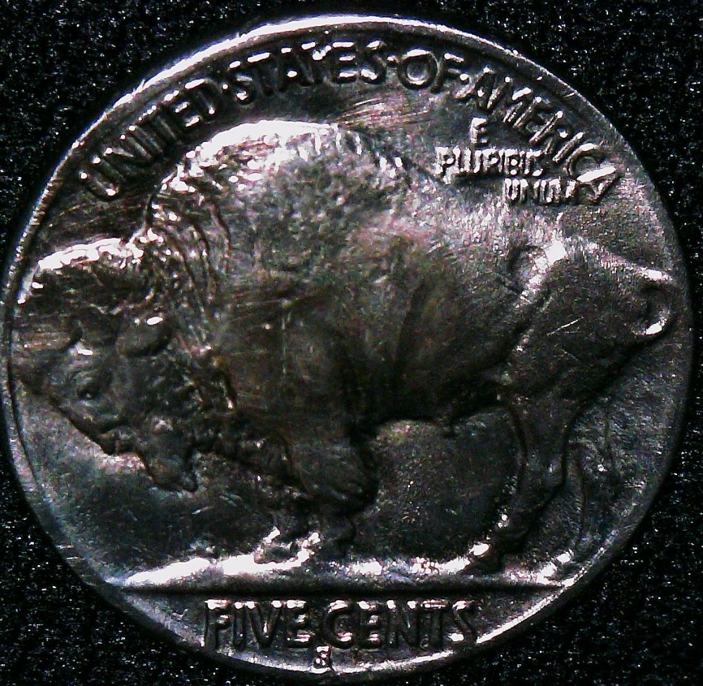 Looking-For-Help-Getting-Grade-For-1921-S-Buffalo-Nickel