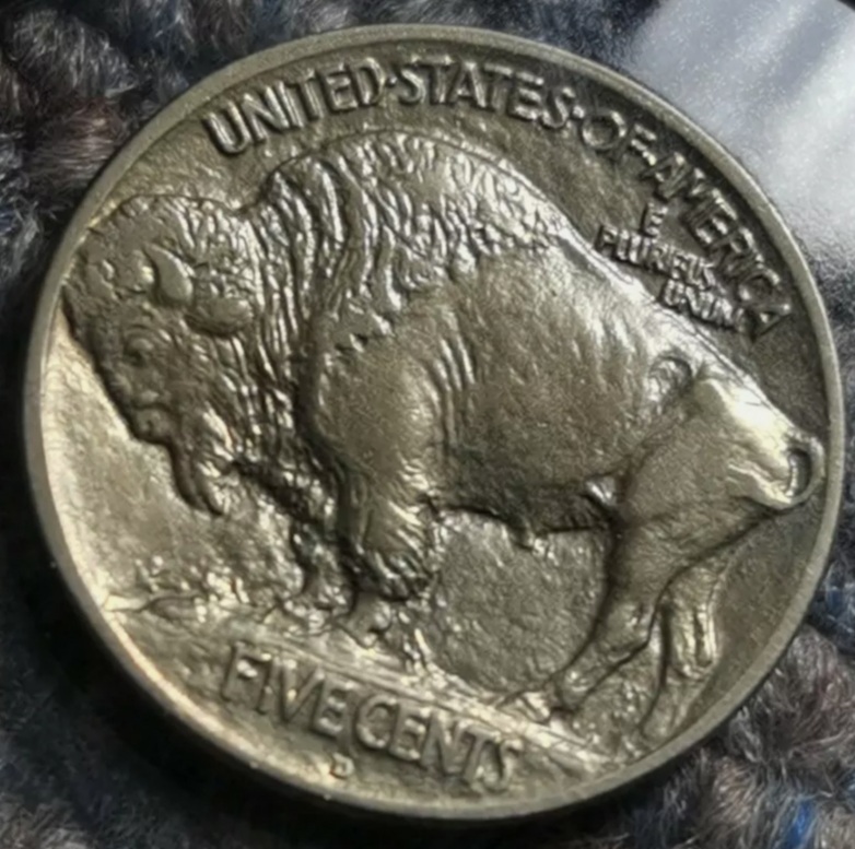 1913-D-Buffalo-Nickel-Grade?