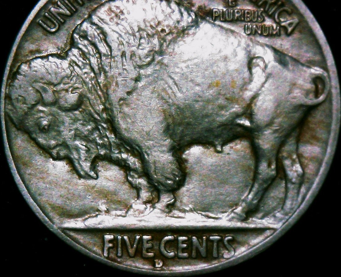 1929-D-Buffalo-Nickel-Grade-Help