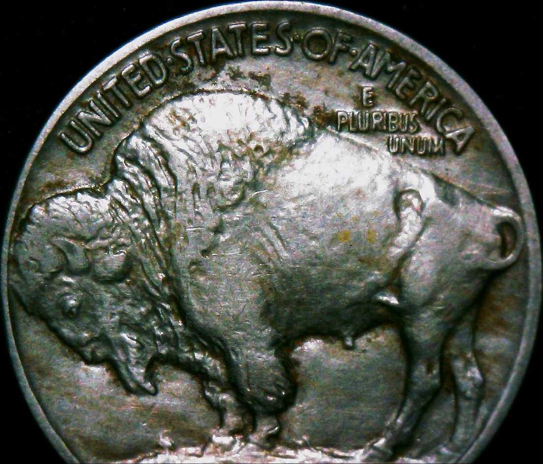 1929-D-Buffalo-Nickel-Grade-Help
