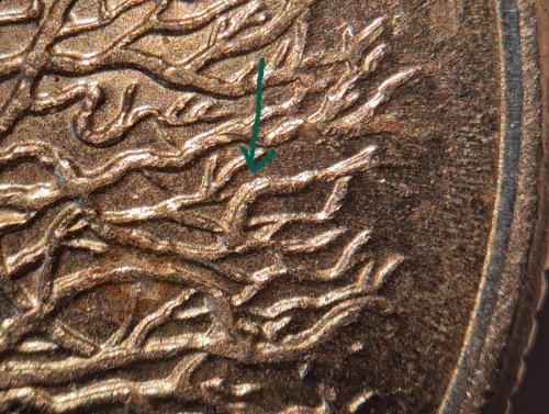 1999-P-Connecticut-Quarter-Possible-WDDR-003