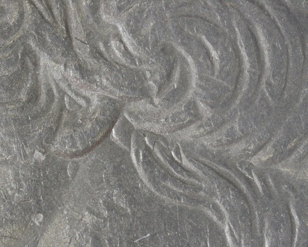2000-P-Virginia-Quarter-Extra-Hair-Behind-Ear