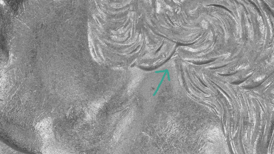 2000-D-Mass-Quarter-Possible-Extra-Hair