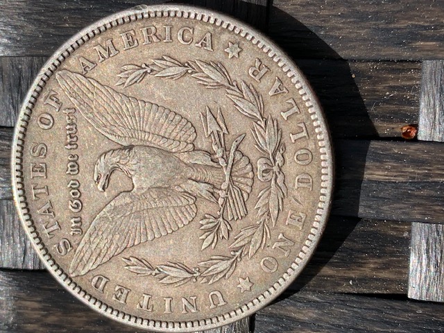 1881-P-Morgan-Worth-Grading?