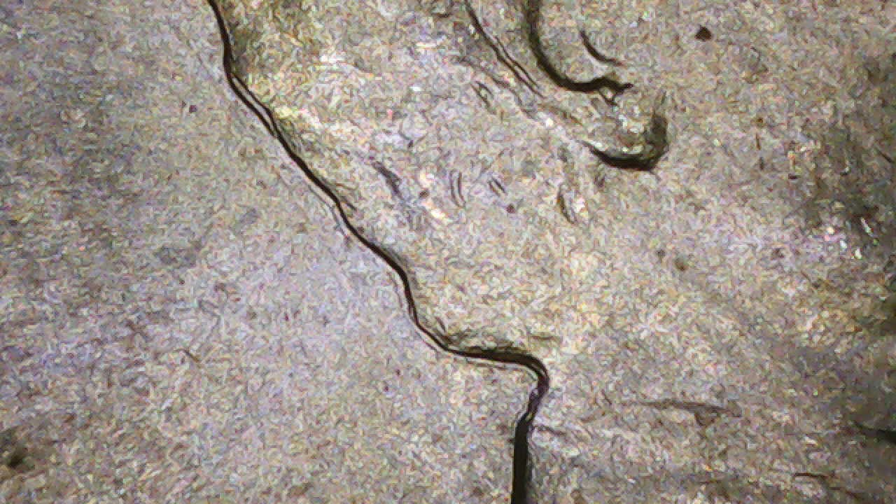 1943-Lincoln-Wheat-Cent-Doubling-Error-Ddo-Or-Machine-Doubling-?
