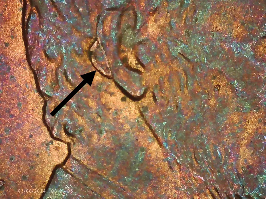 1993-D-LMC---Weird-PMD-Or?