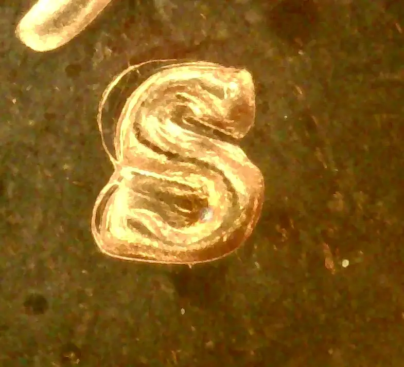 1970-S-Lincoln-Cent-Proof---Mintmark-MD?