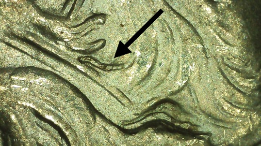 1923-D-Peace-Dollar---Which-VAM?