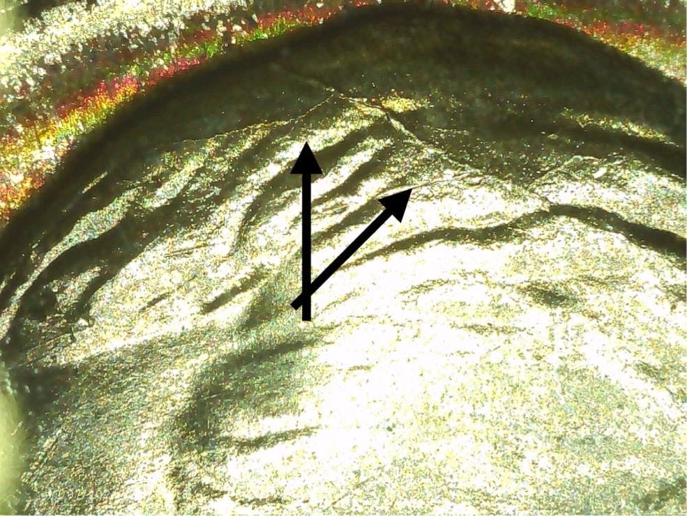 1942-S-Jefferson-Nickel---Is-It-PMD-Or-DDO?