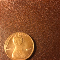 1981-Penny-With-Reverse-Printed-On-Obverse.-What-Is-This-Called?