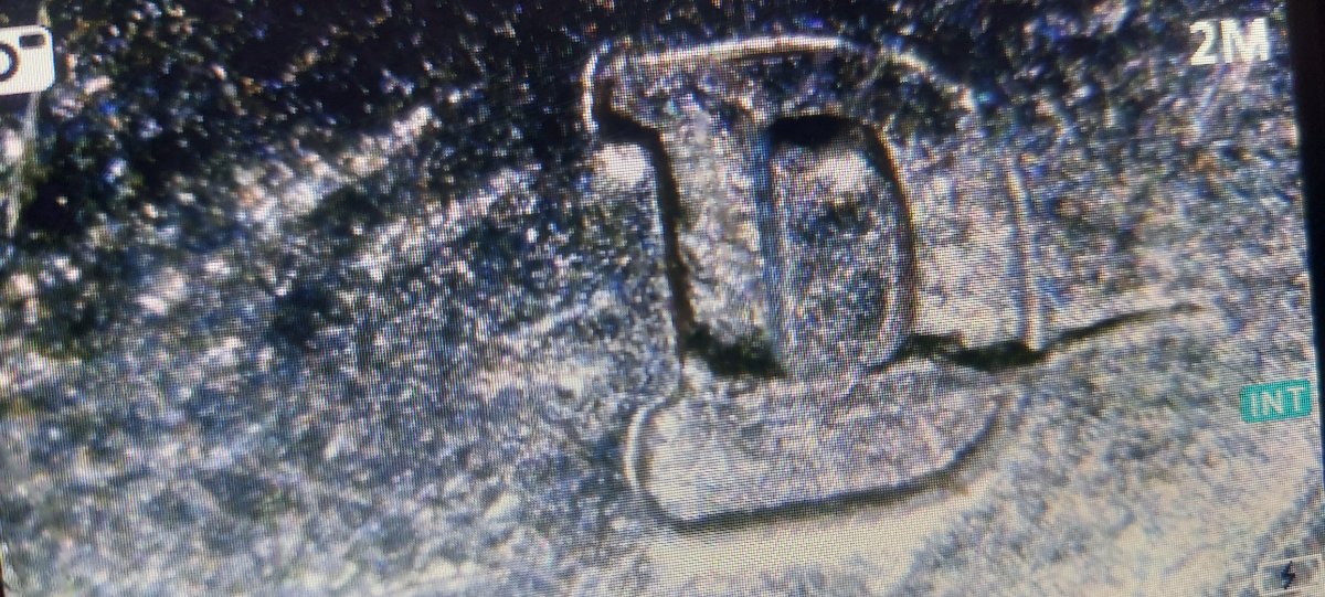 2022-D-Maya-Angelou-Quarter-Error-Or-Post-Mint-Damage-Missing-Lower-Half-Of-D-Mint-Mark
