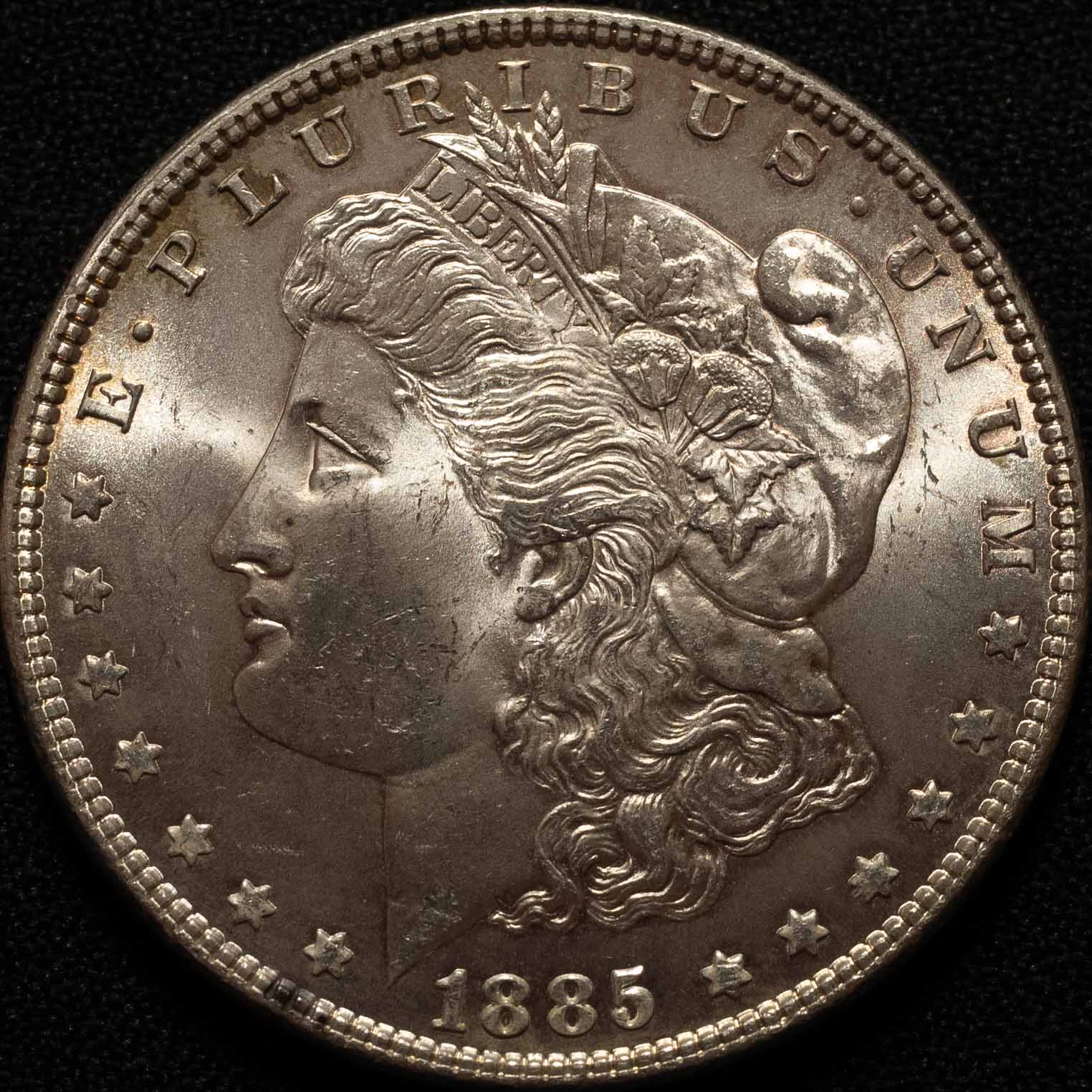 Morgan-Dollar-1884-+-1885-Grading