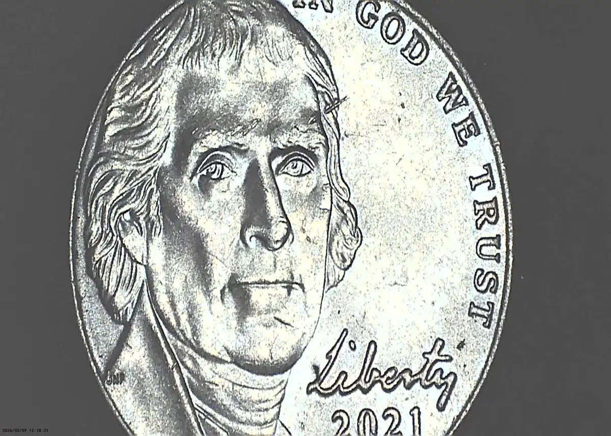 2021-P-Nickel-Not-Sure-What-This-Is?