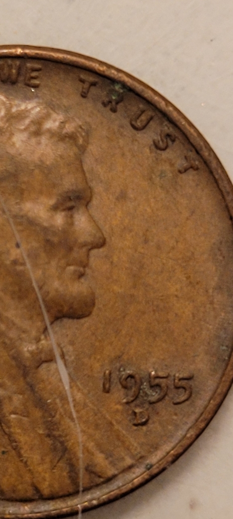1955-D-Wheat-Cent-Wdd-001