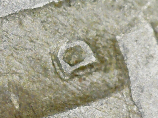 1949-D-Nickel-Possible-RPM