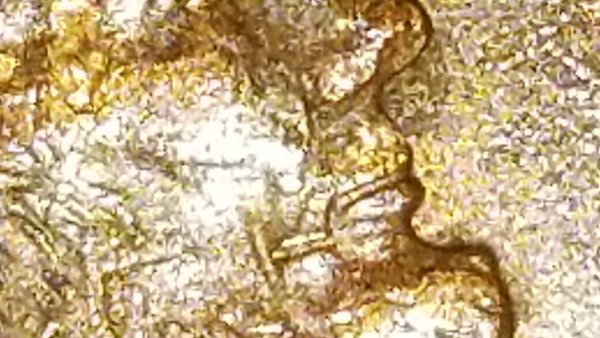 Any-Opinions-On-This-1995-Error-On-Lincolns-Mouth