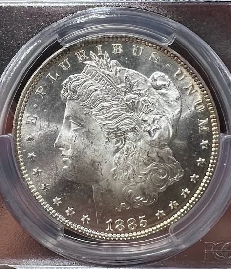 1885-And-1886-Morgans-For-Your-Consideration
