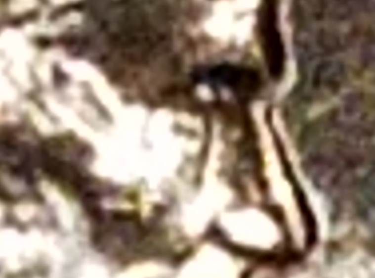 2019-D-LMC--Die-Crack-Through-Eye?