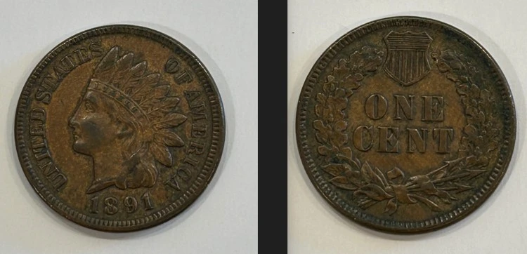 Seamonkey's-Dansco-7101-Indian-Head-Cents
