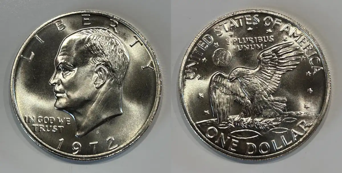 Seamonkey's-Eisenhower-Dollar---Dansco-8176