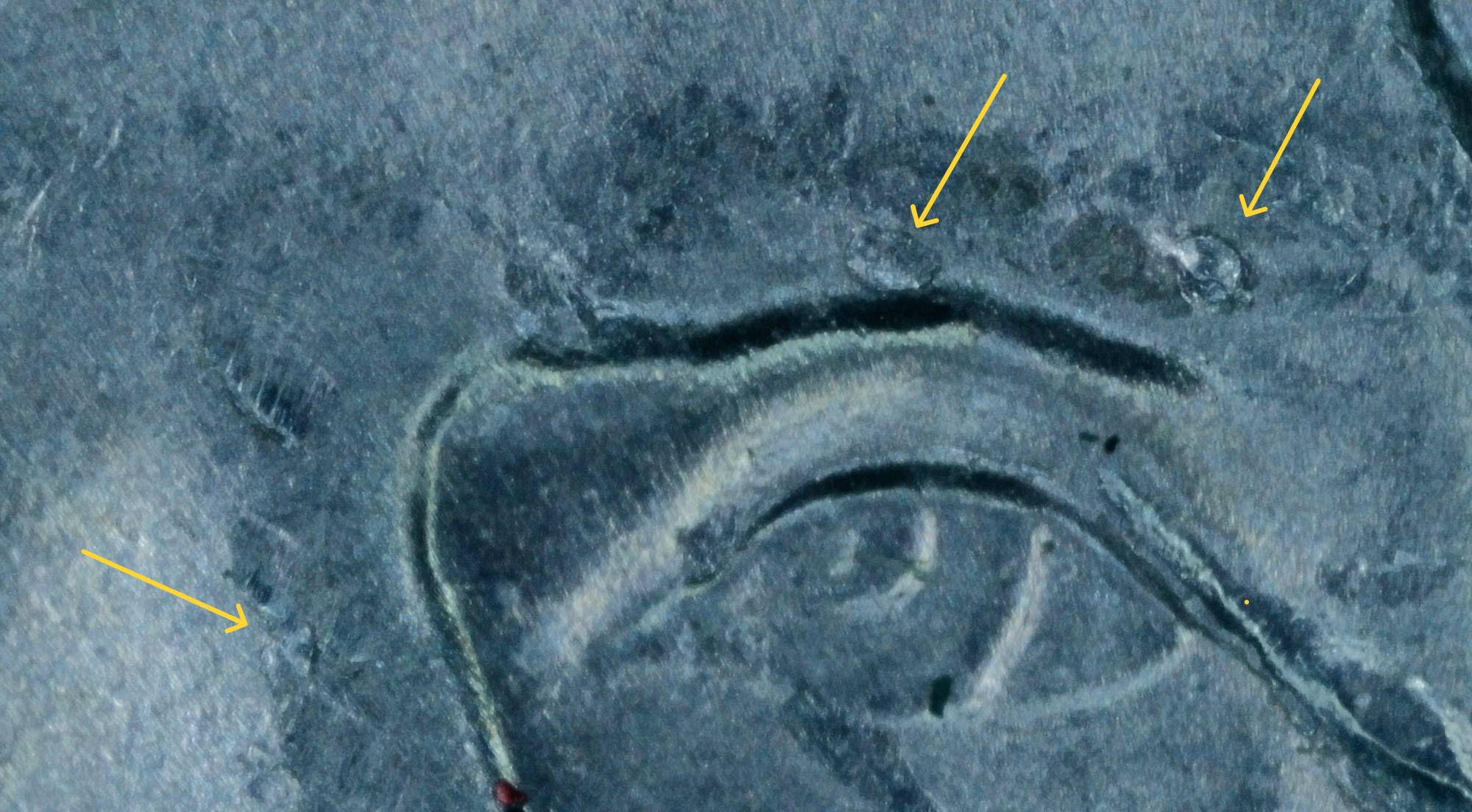 2022-P-Nickel:-WDDR-006?
