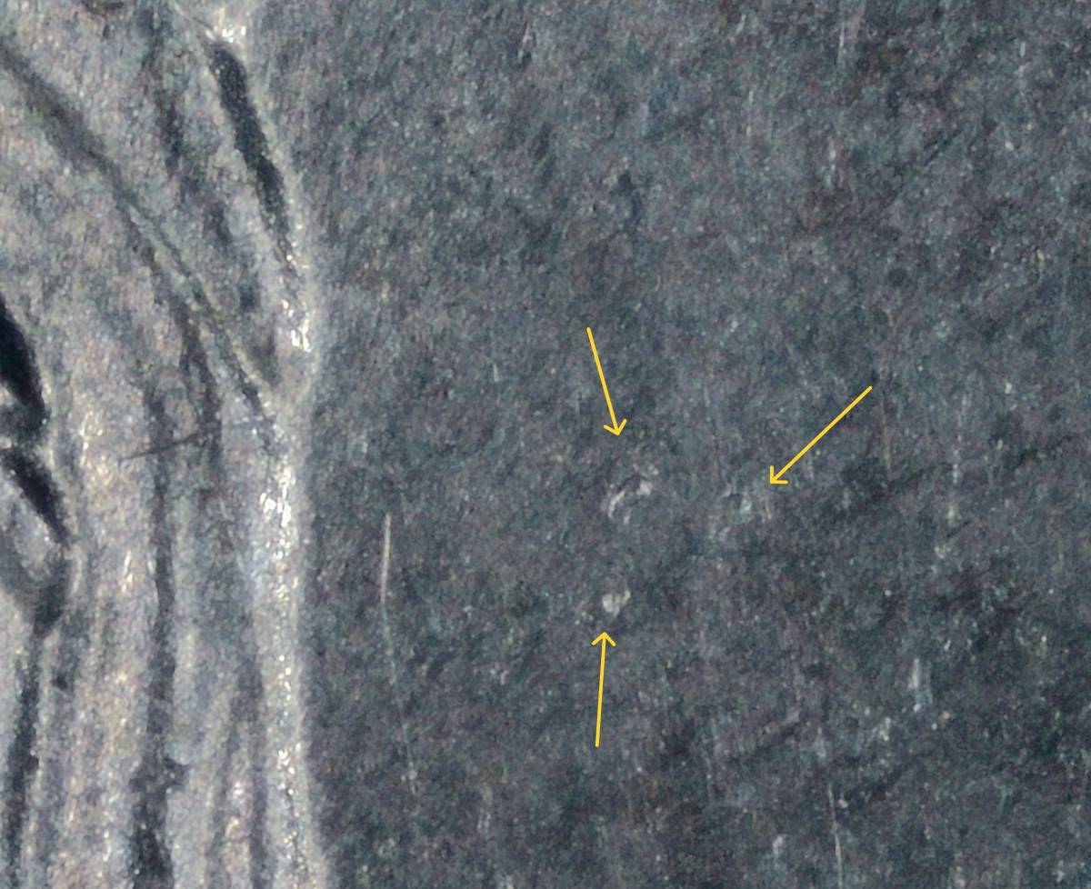2023-P-Nickel:-WDDR-026-With-Possible-DDO