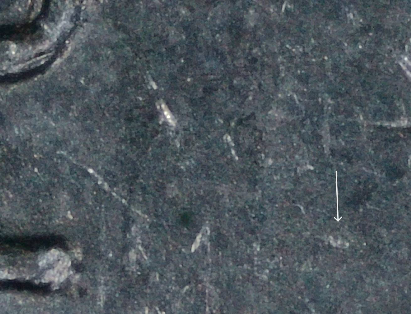 2023-P-Nickel:-WDDR-001