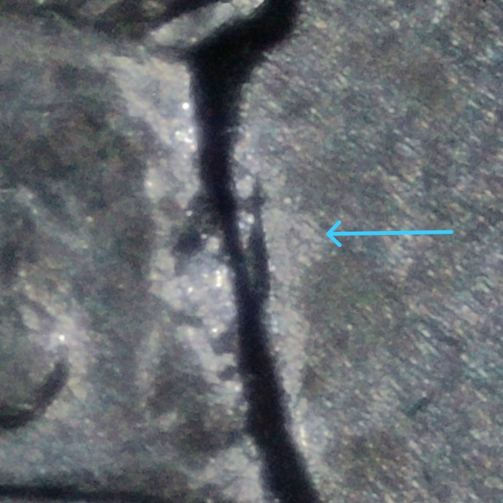 2021-P-Crossing-Of-The-Delaware-Quarter:-WDDR-004?-Plus-A-Couple-Of-Other-Things
