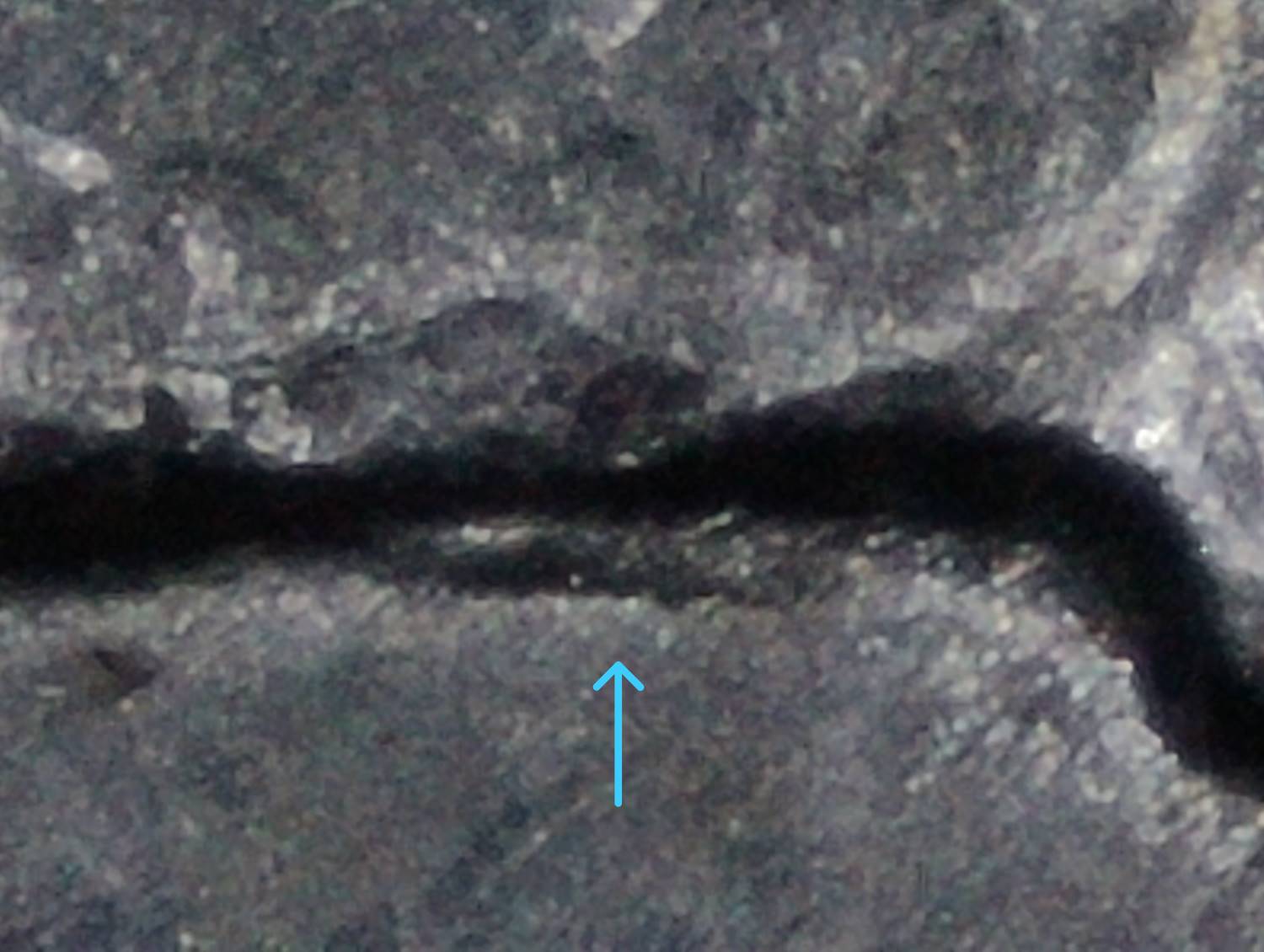 2021-P-Crossing-Of-The-Delaware-Quarter:-WDDR-004?-Plus-A-Couple-Of-Other-Things