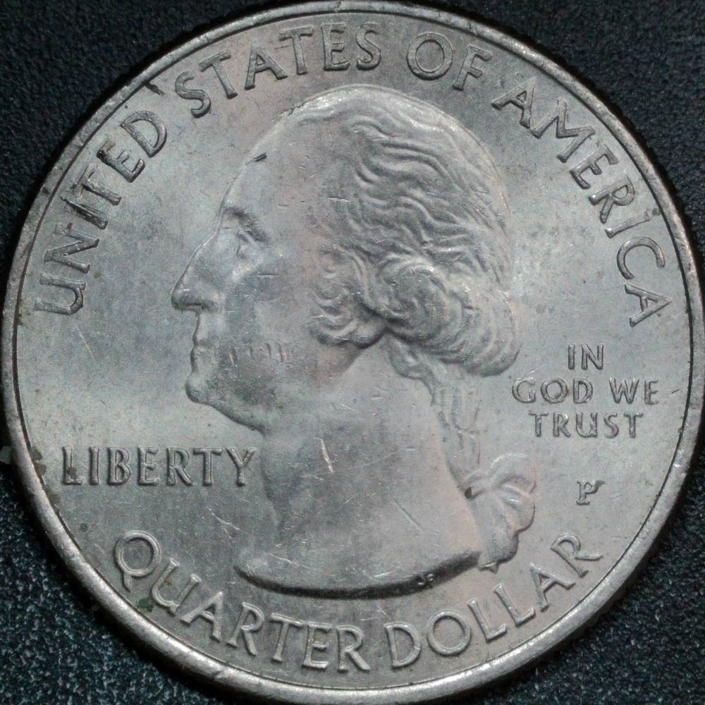 2015-P-Homestead-Quarter:-WDDR-007
