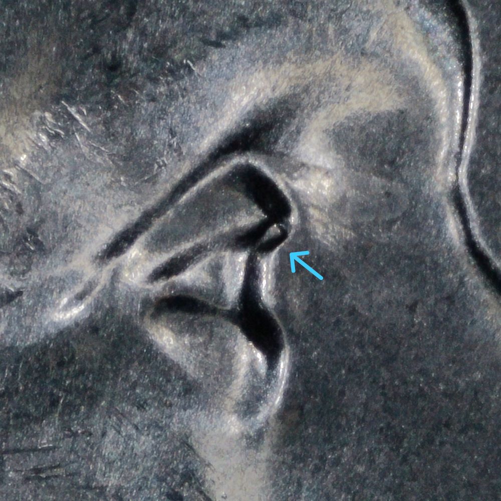 2025-Ibw-Quarter:-Possible-Unlisted-DDO-#1