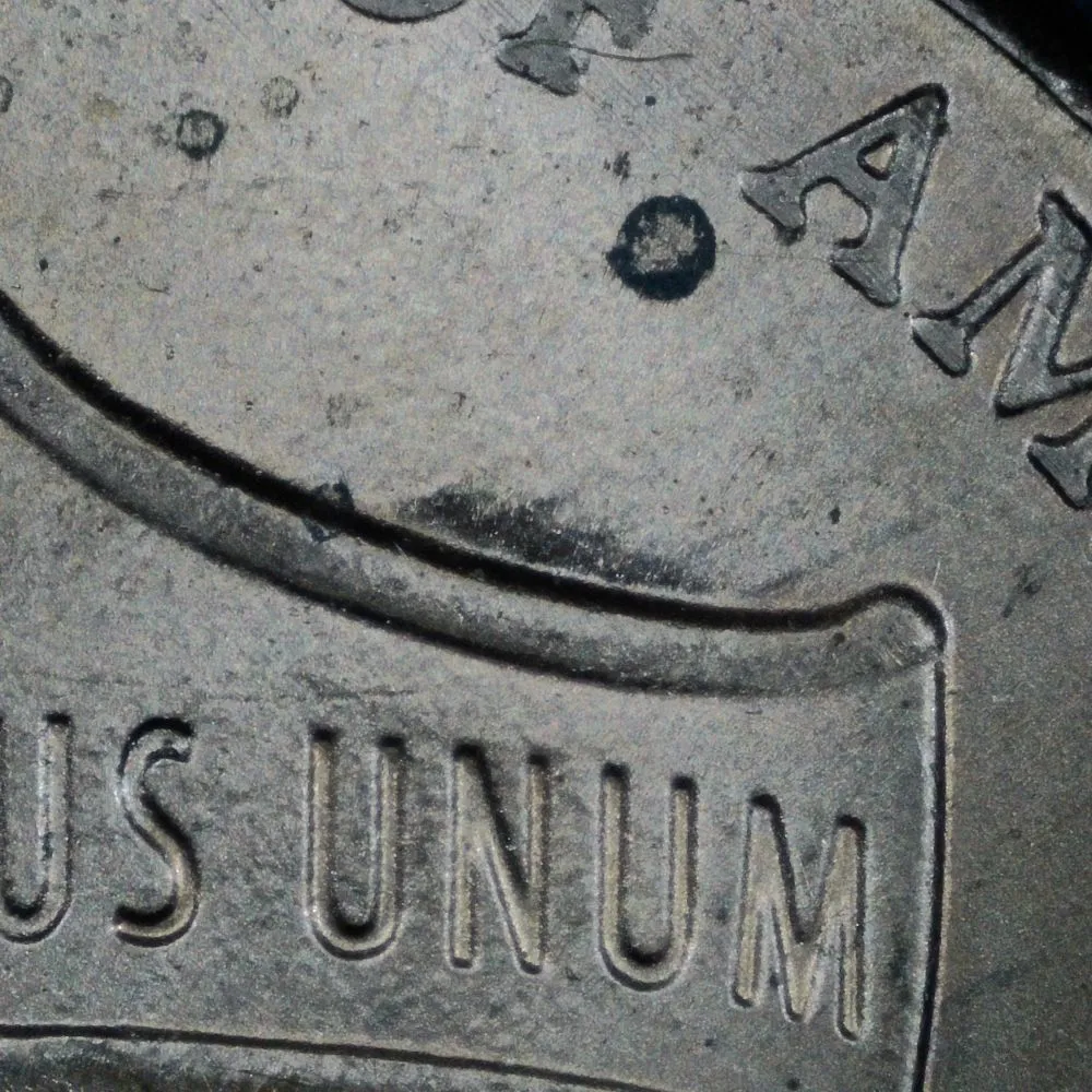 2019-LSC-With-Small-Indent-To-The-Left-Of-The-Shield-Above-Banner