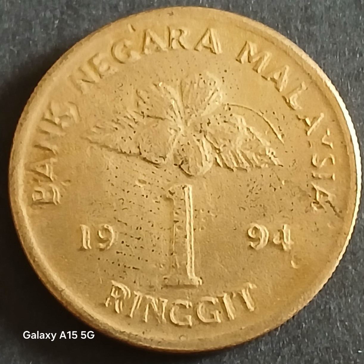 Malaysian-1-Ringgit-Coin-Demonitized-In-2005-Error