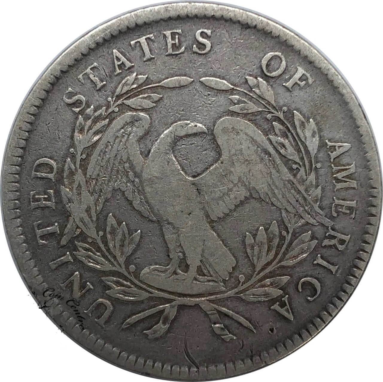 1795-Flowing-Hair-Dollar-3-Leaves