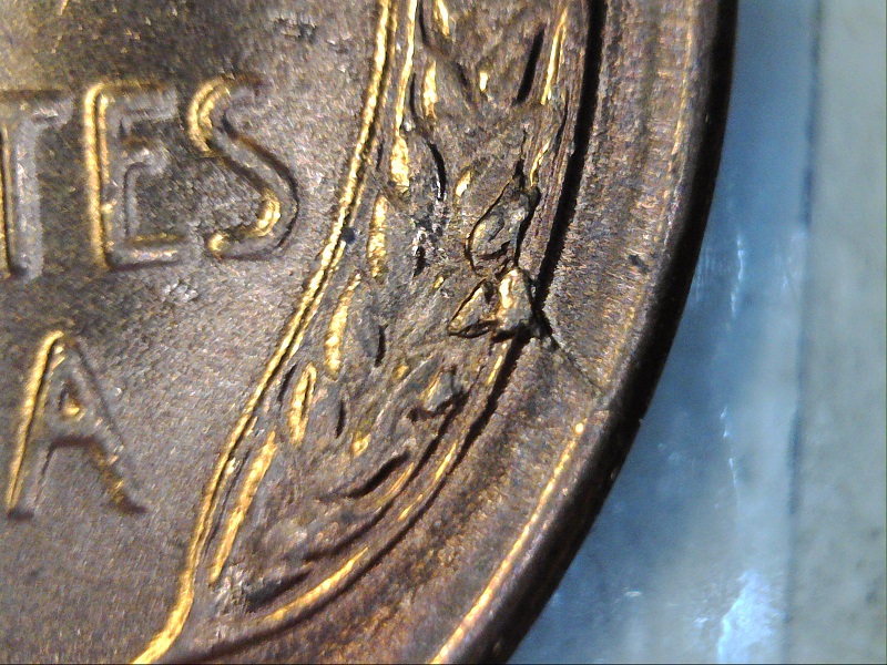 1955-S-BU-Wheat-Double-Die-Chip-5's,-Die-Crack-Vest-&-Die-Break-Right-Stalk